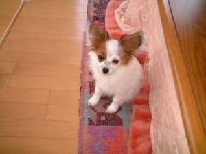 ���[���ł���